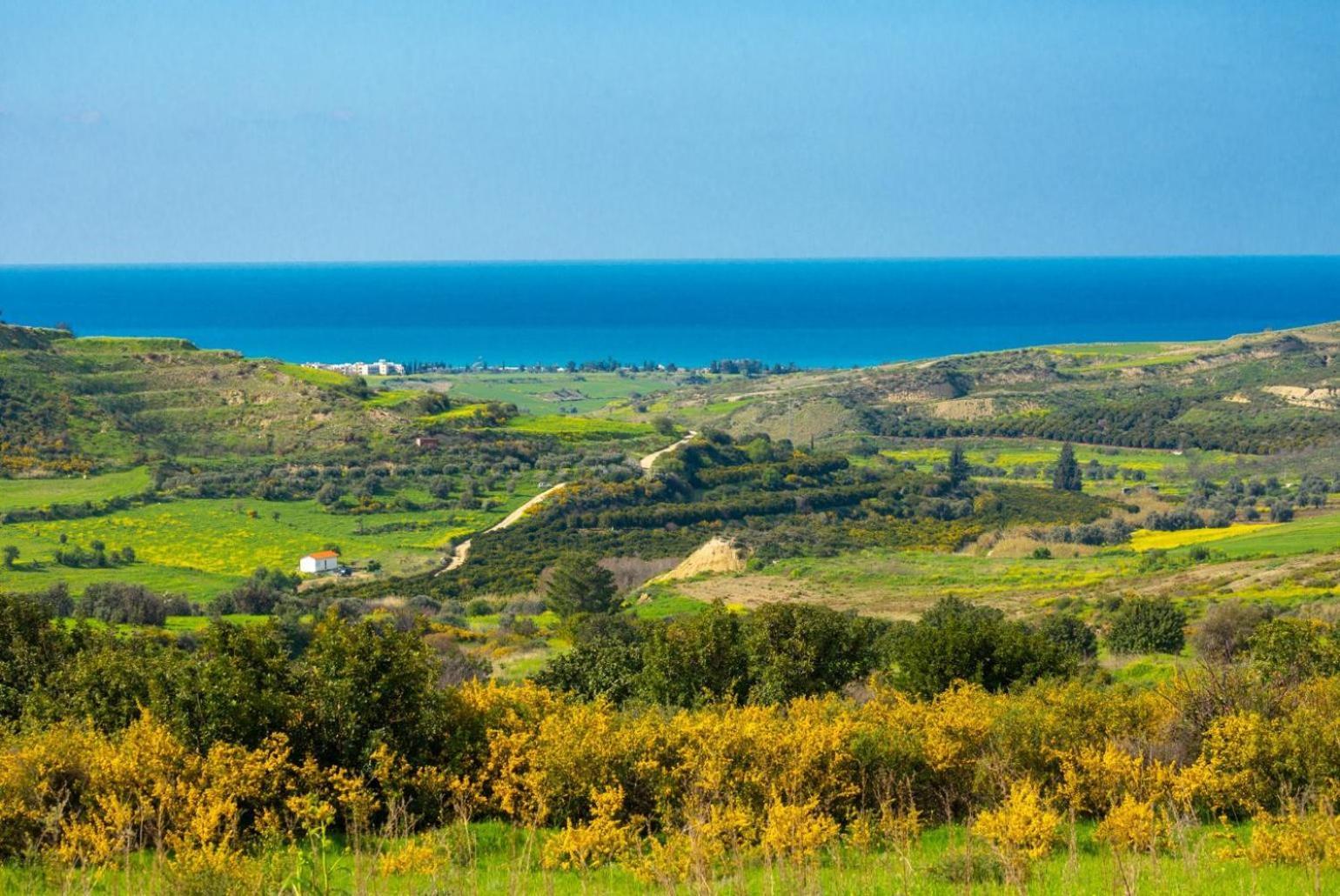 Villa Rallo Paphos ภายนอก รูปภาพ
